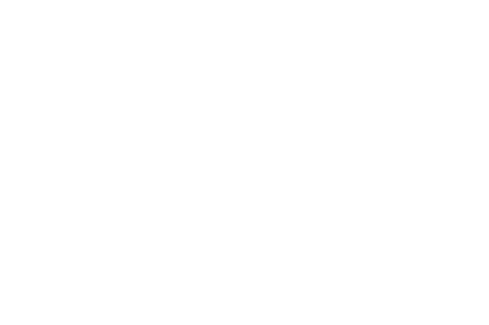 National Disability Services Member Logo