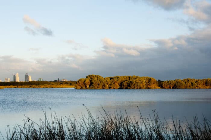 Herdsman Lake